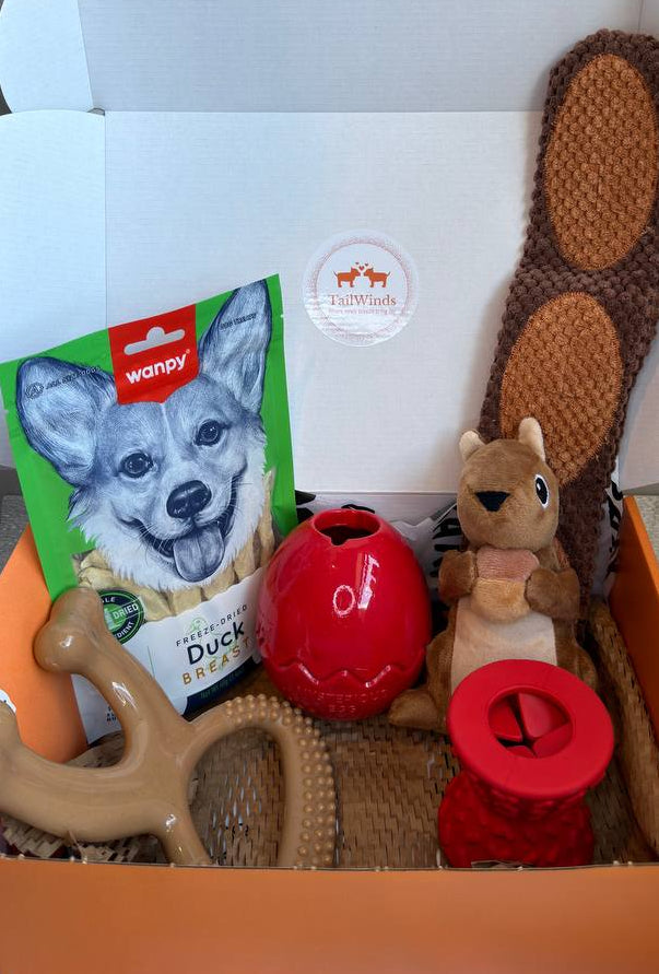 Mighty Chew Dog Box