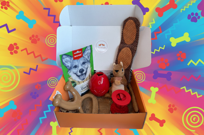 Mighty Chew Dog Box