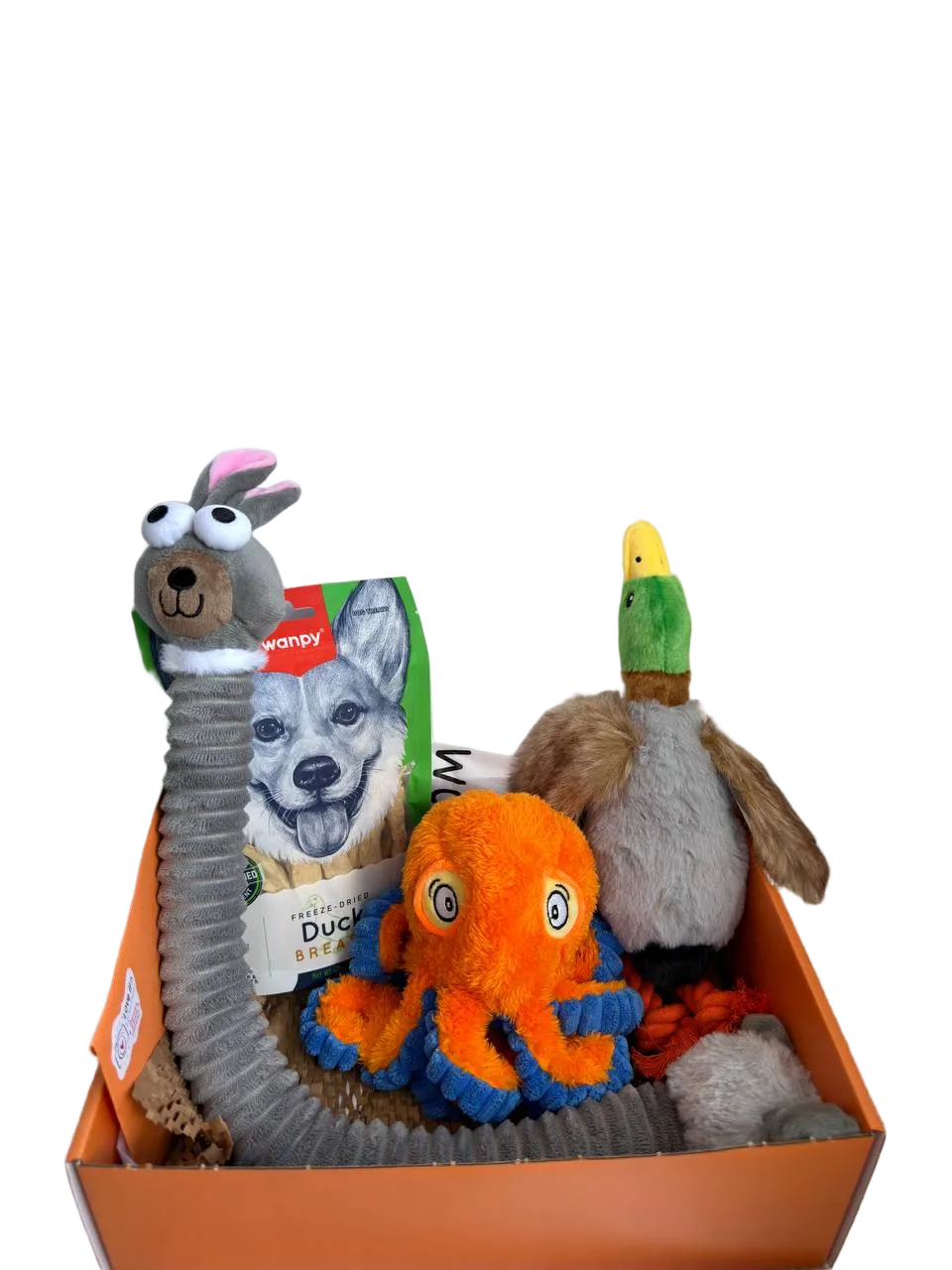 Plushies Party Dog toys Box