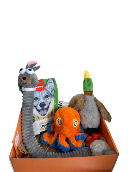 Plushies Party Dog toys Box
