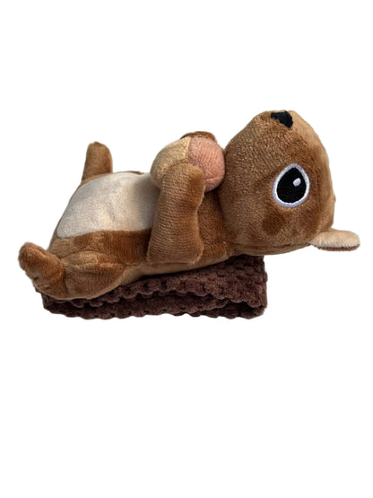 Squirrel Plush Dog toy with Sniff & Find