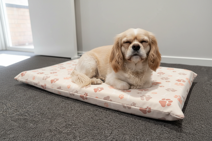 PawDream Memory Foam Dog Bed (Handmade)